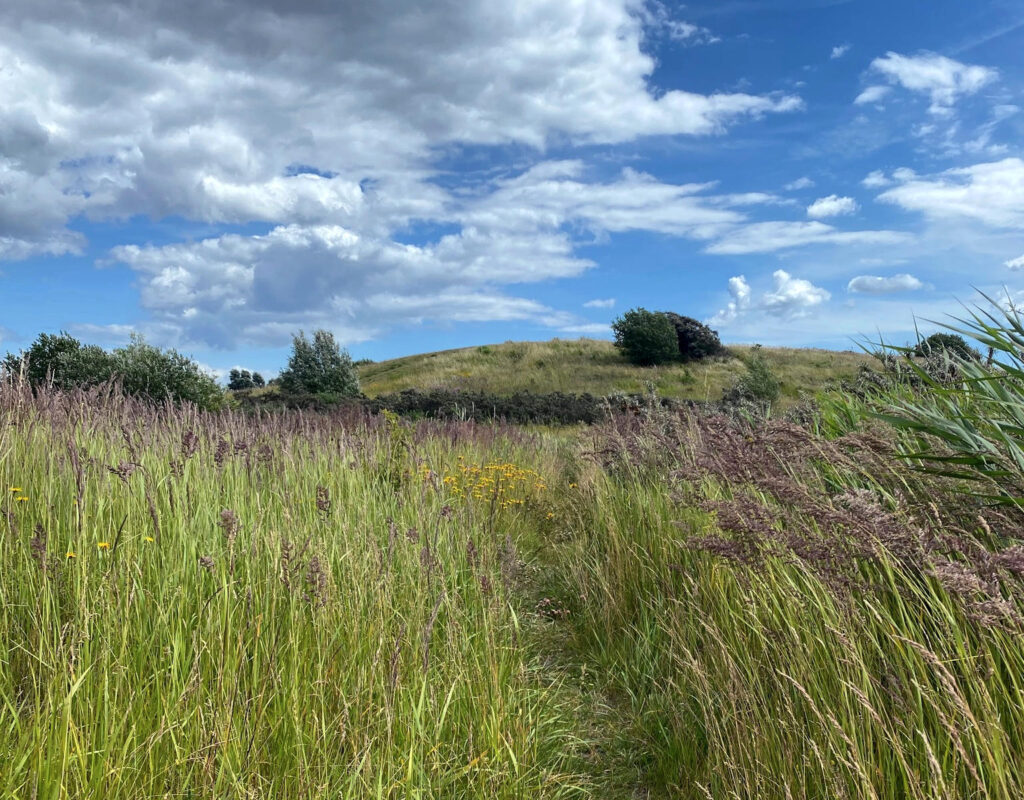 Klinik for psyke og sind